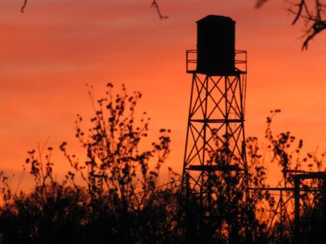 Focus on Texas: Water Towers