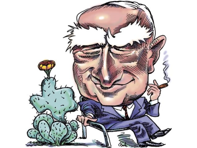 Meet the Colorful Cactus Jack