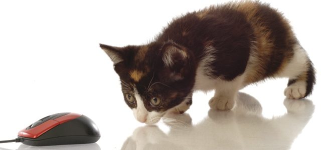 Hemera | Thinkstock