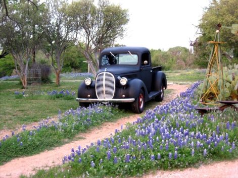 Focus on Texas: Vintage