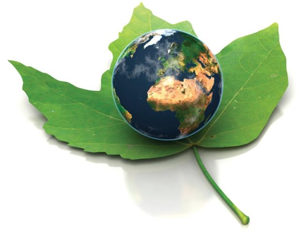 ‘E’ Stands for Energy Efficiency