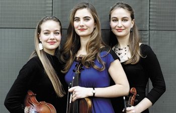 detail_Fiddles_z-350x225.jpg