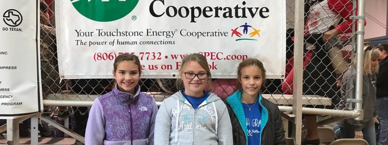 South Plains Electric Cooperative