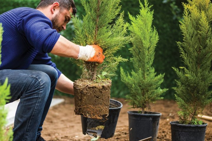 DIY Energy-Saving Ideas