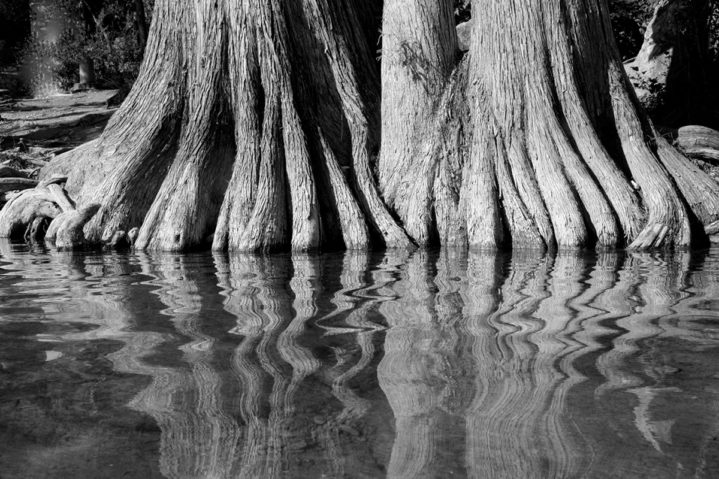 Focus on Texas: High Contrast