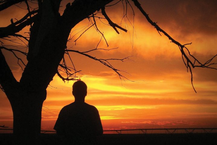 Focus on Texas: Slow Down