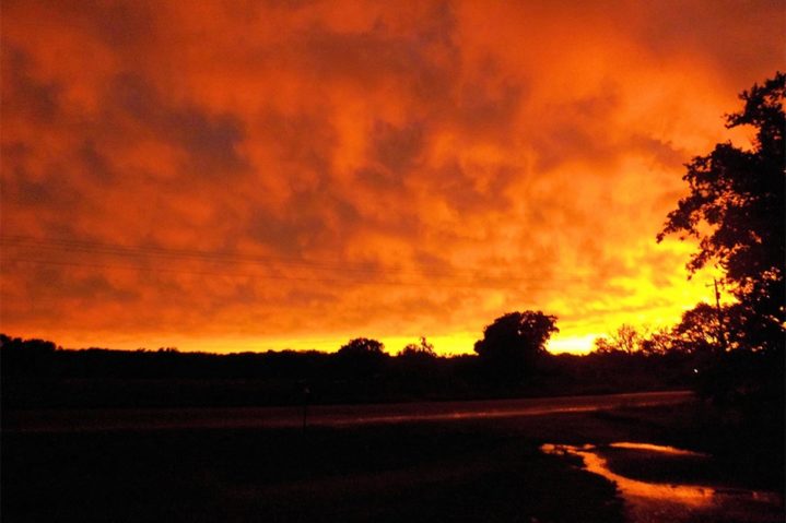 Focus on Texas: Stepping Out