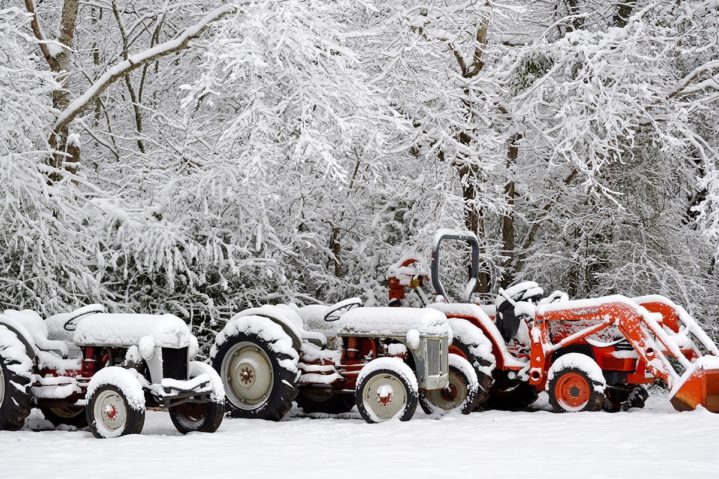 Focus on Texas: Snow Day