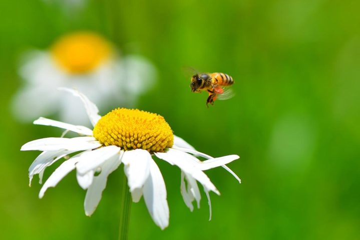 Focus on Texas: In Motion