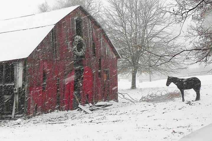 January 2018 Web Extras