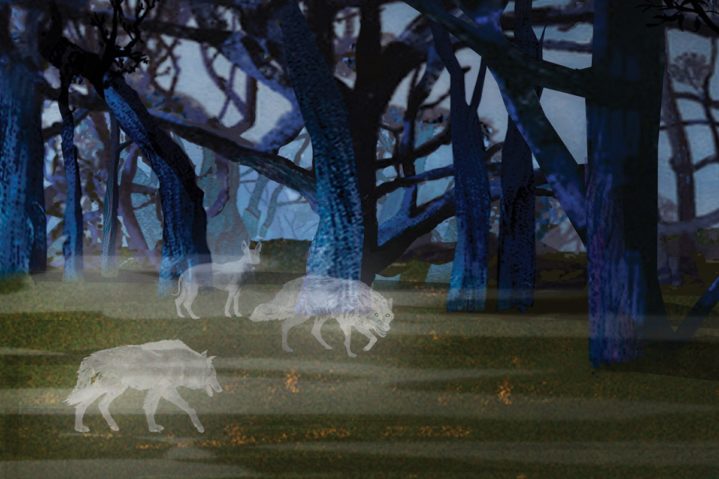 Ghost Dogs of Orozimbo