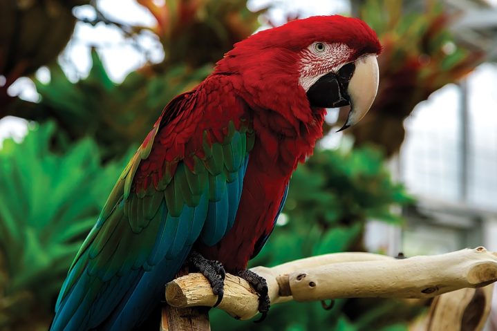 A Close-Up With Nature