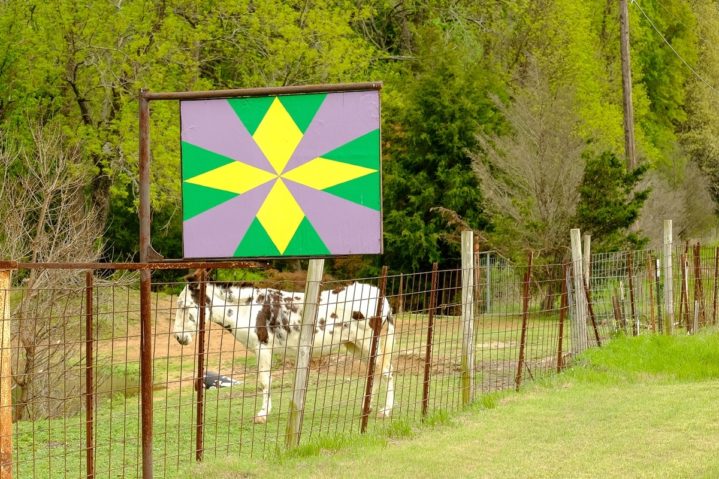 A New Trail in Texas