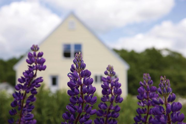 Top 5 Energy Users in Your Home