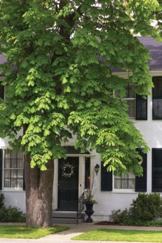 Take Control of Summer Energy Bills