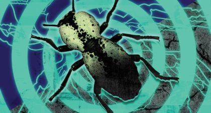 detail_obs-beetle-main-420x225.jpg