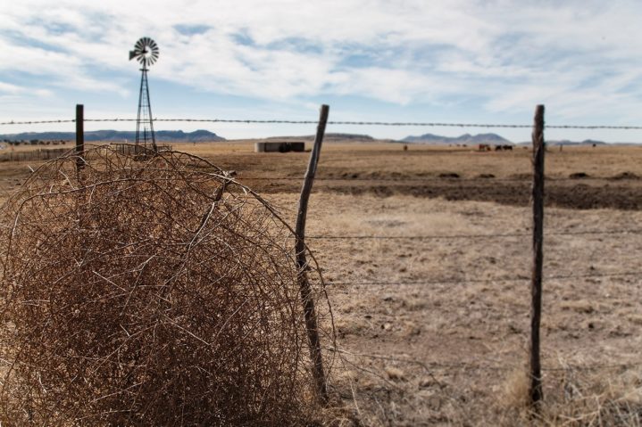 Russian Interference