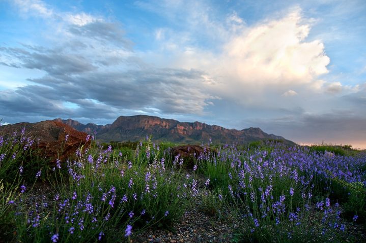 The National Park Centennial in Texas