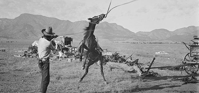 Erwin E. Smith (1886-1947). Gelatin dry plate negative
