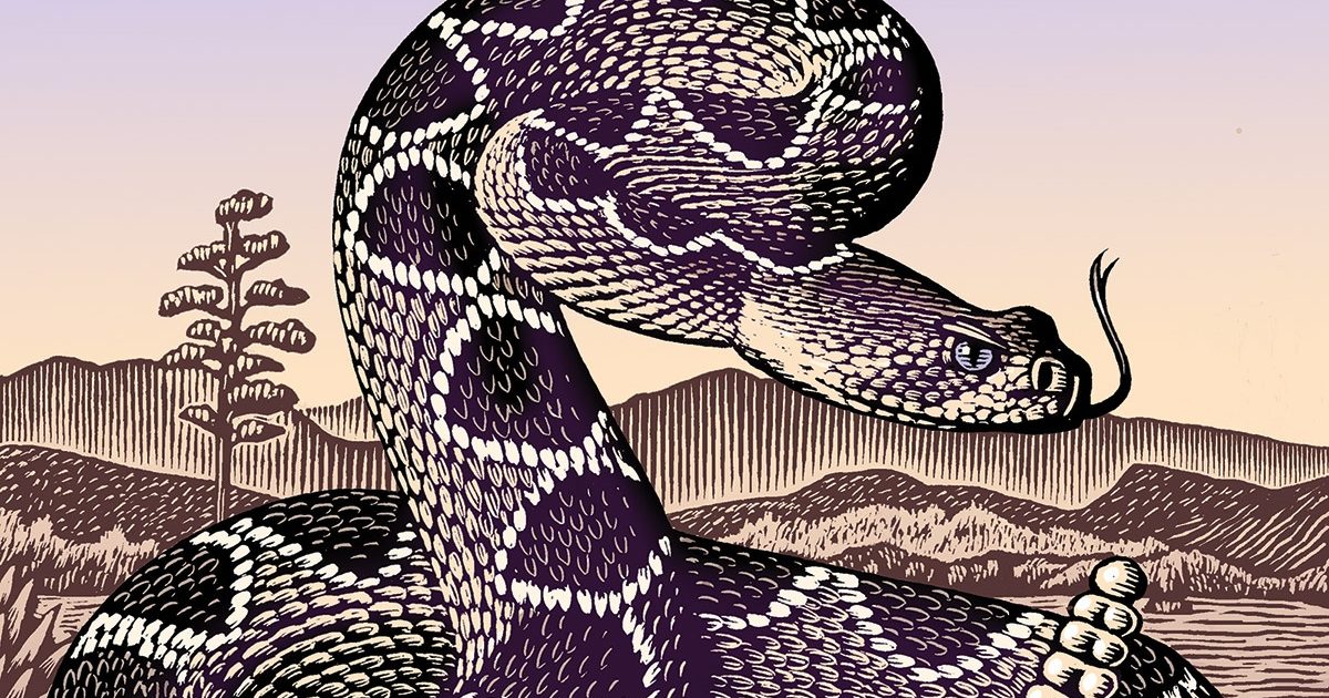 rattlesnake pattern drawing