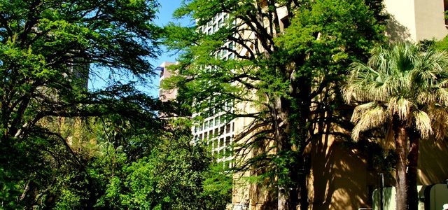 Stephanie Foresythe-Sword