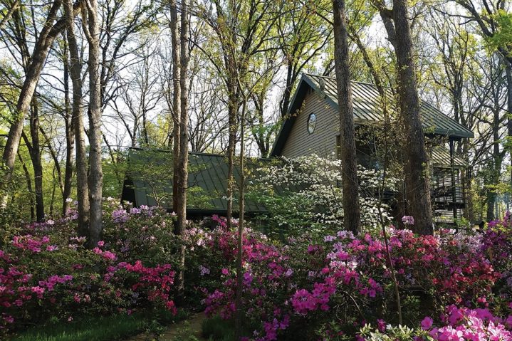 A Mother’s Day Haven