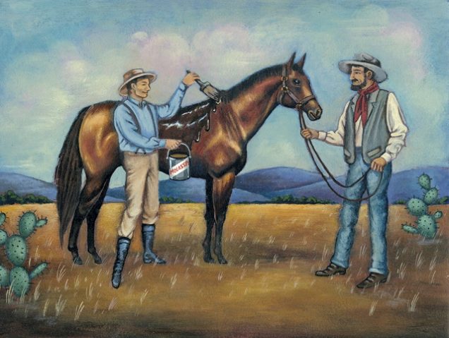 Where Quarter Horses Get Their Mettle