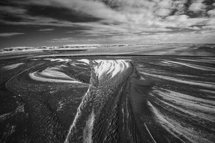 June 2020 Web Extras