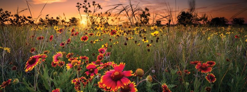 © Dean Fikar | TDF Photography