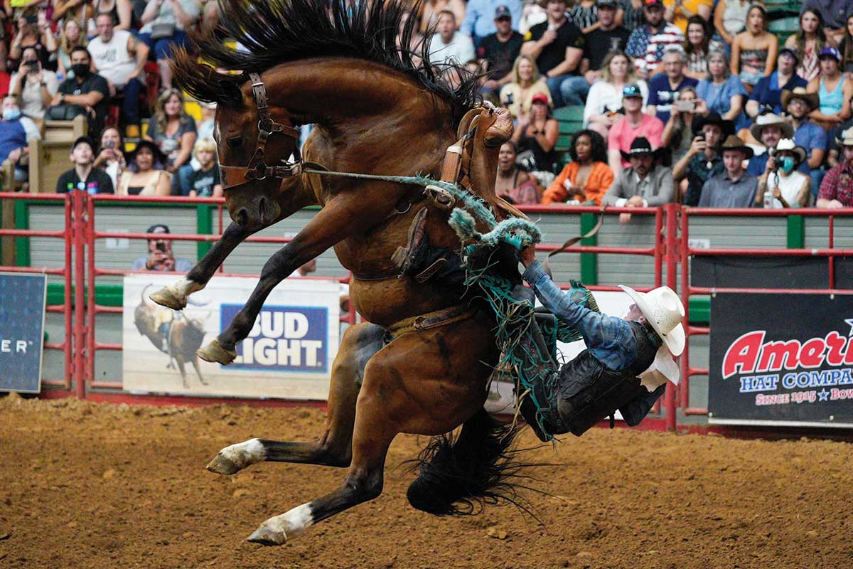 photo of bucking horse with rodeo rider