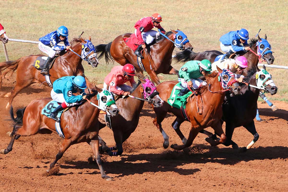 photo of horses racing