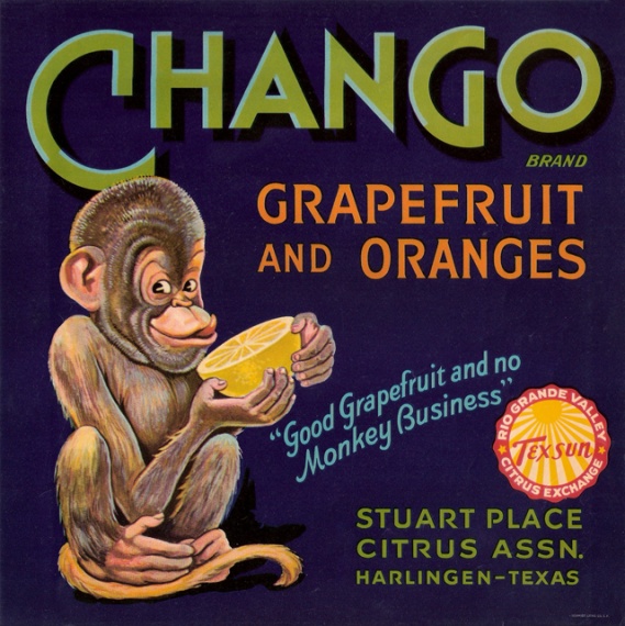Texas Longhorn Steer Orange Citrus Fruit Crate Label Art Print – Vintage Style Decor (Made In USA)