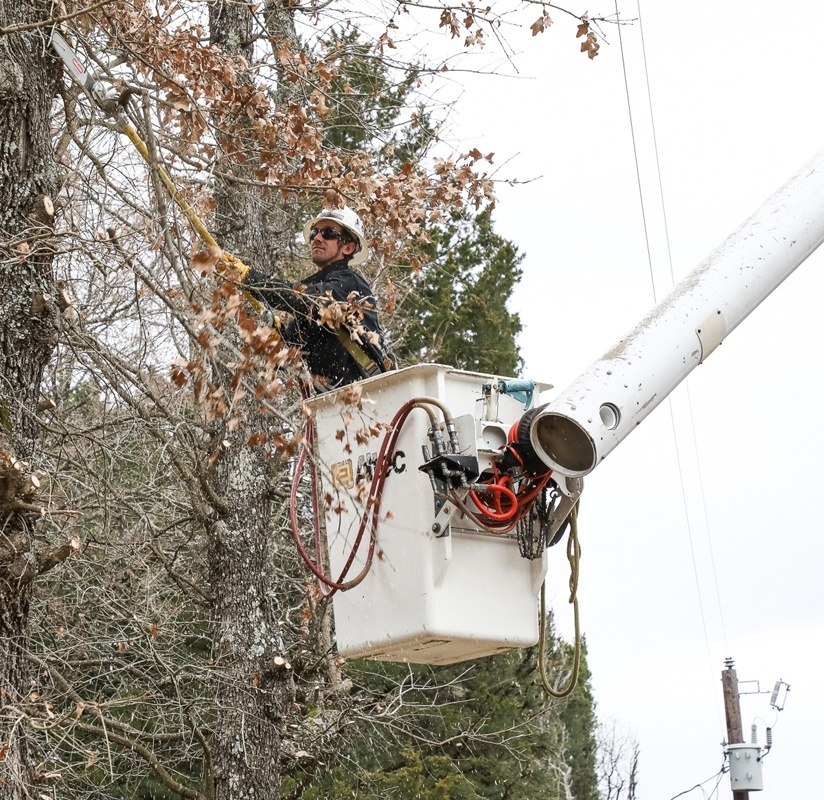 Line Clearance Tree Trimmer - Even Linemen Need  
