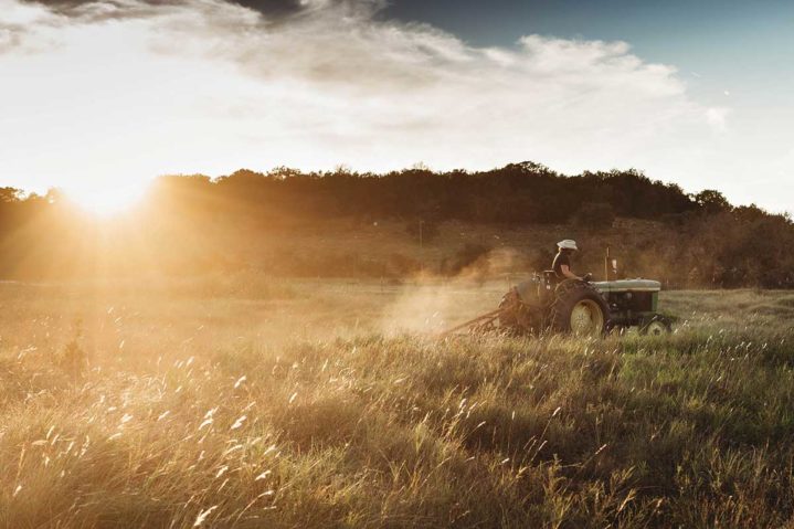 Focus on Texas: <br/>The Texas Experience