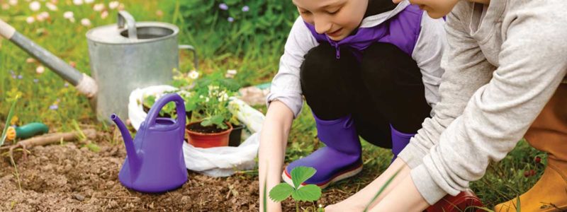 mother and son planting in a home garden
