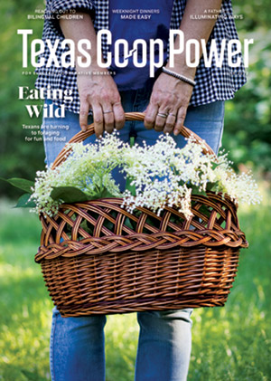 June 2022 Issue of Texas Coop Power