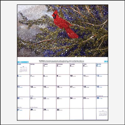2023 Texas Cardinal Calendar 