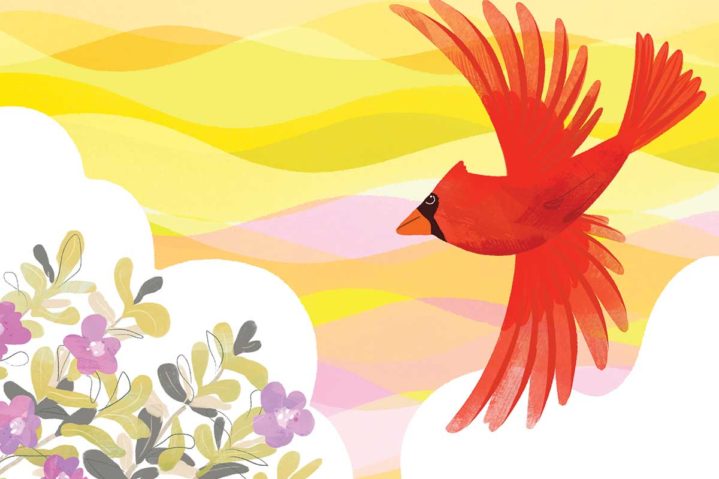 Roll Out the Red Carpet