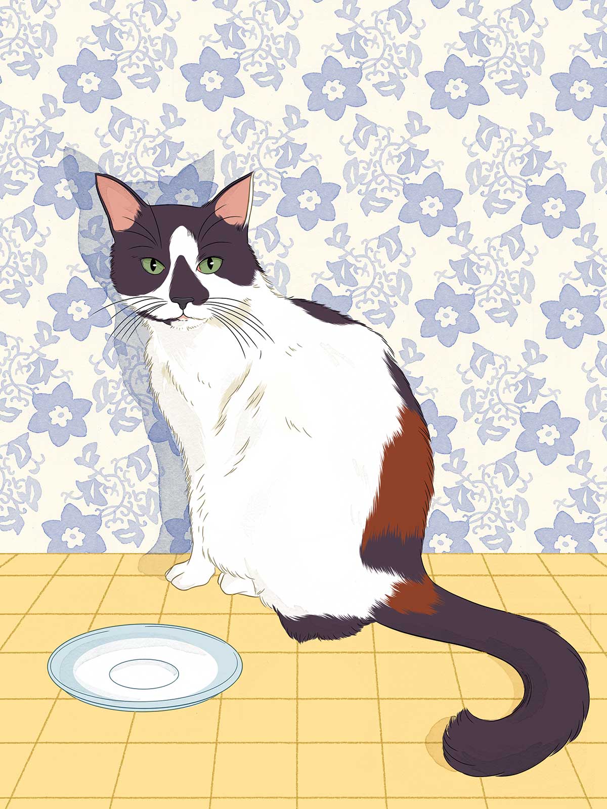 calico cat with empty saucer