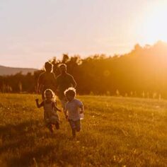 A family of 4 plays in a field with golden sunlight
