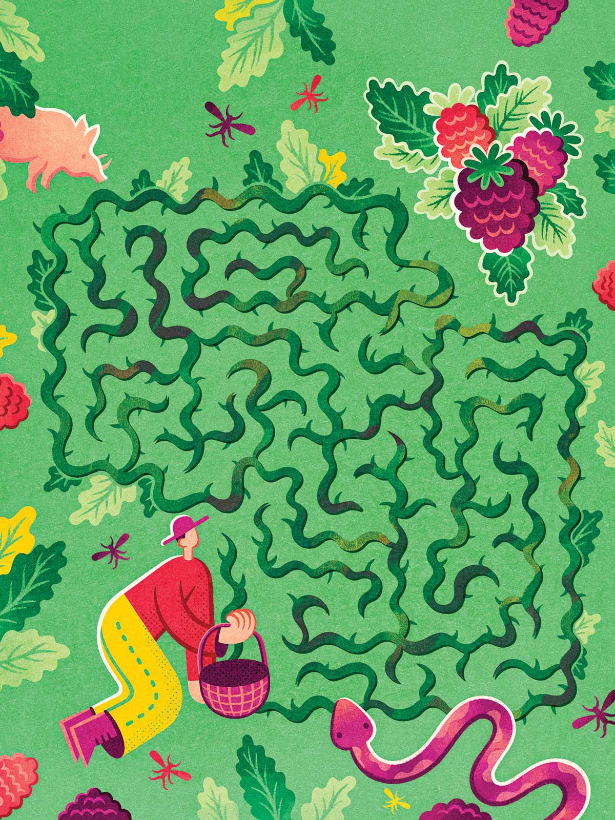 Colorful folk art style illustration with woman facing thorny vines that form a maze