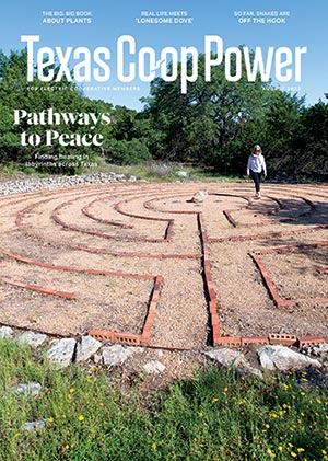 Texas Coop Issue August 2023