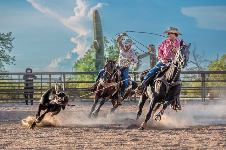 Focus on Texas: Hoof and Horn