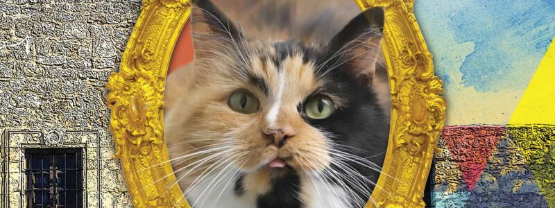 Fun photo collage of Bella the cat in ornate gold frame with the Alamo in the background