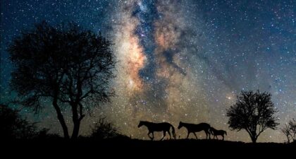 Focus on Texas: Night Sky | Texas Co-op Power