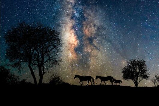 Focus on Texas: Night Sky