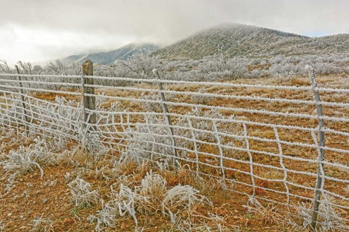 Ice in the Forecast?