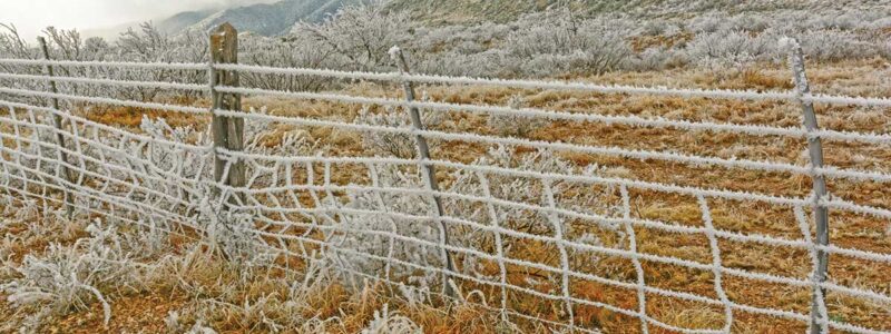 Winter scene with an icy barbed-wire fence