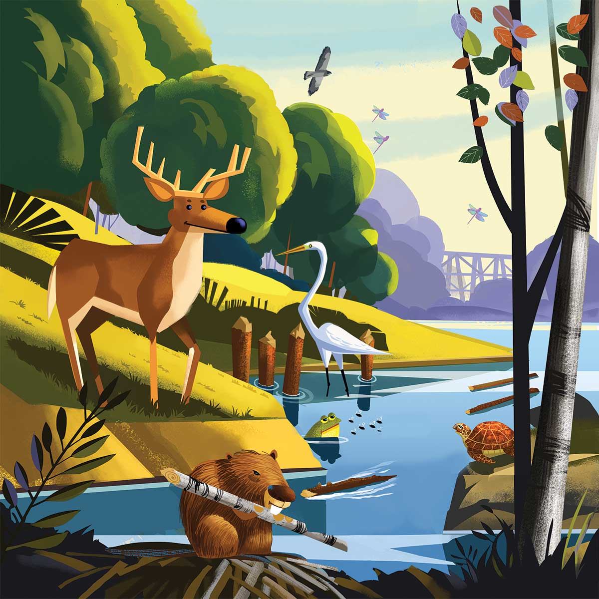 Fun modern illustration of wildlife at Mineola Nature Preserve