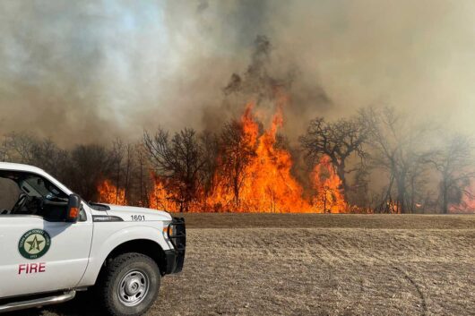 Wildfire Home Preparedness for Rural Texans